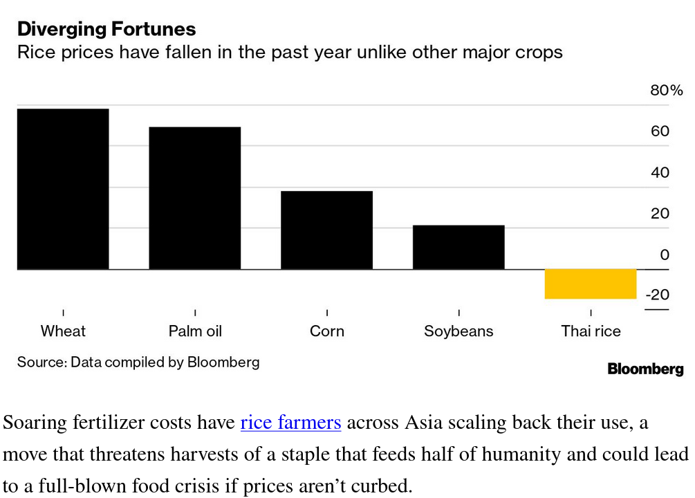 /brief/img/Screenshot 2022-04-19 at 09-08-12 New Economy Daily.png